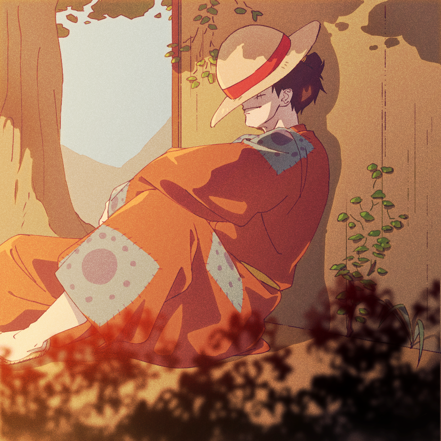 Monkey D. Luffy Rule 34 Image