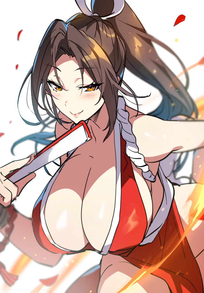 Fatal Fury Rule 34 Image