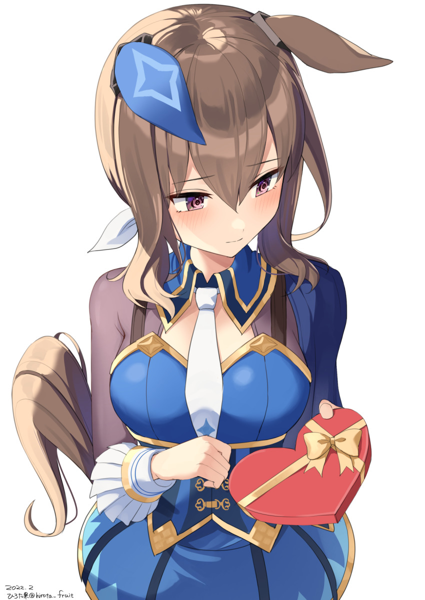 Admire Vega (Umamusume) Rule 34 Image