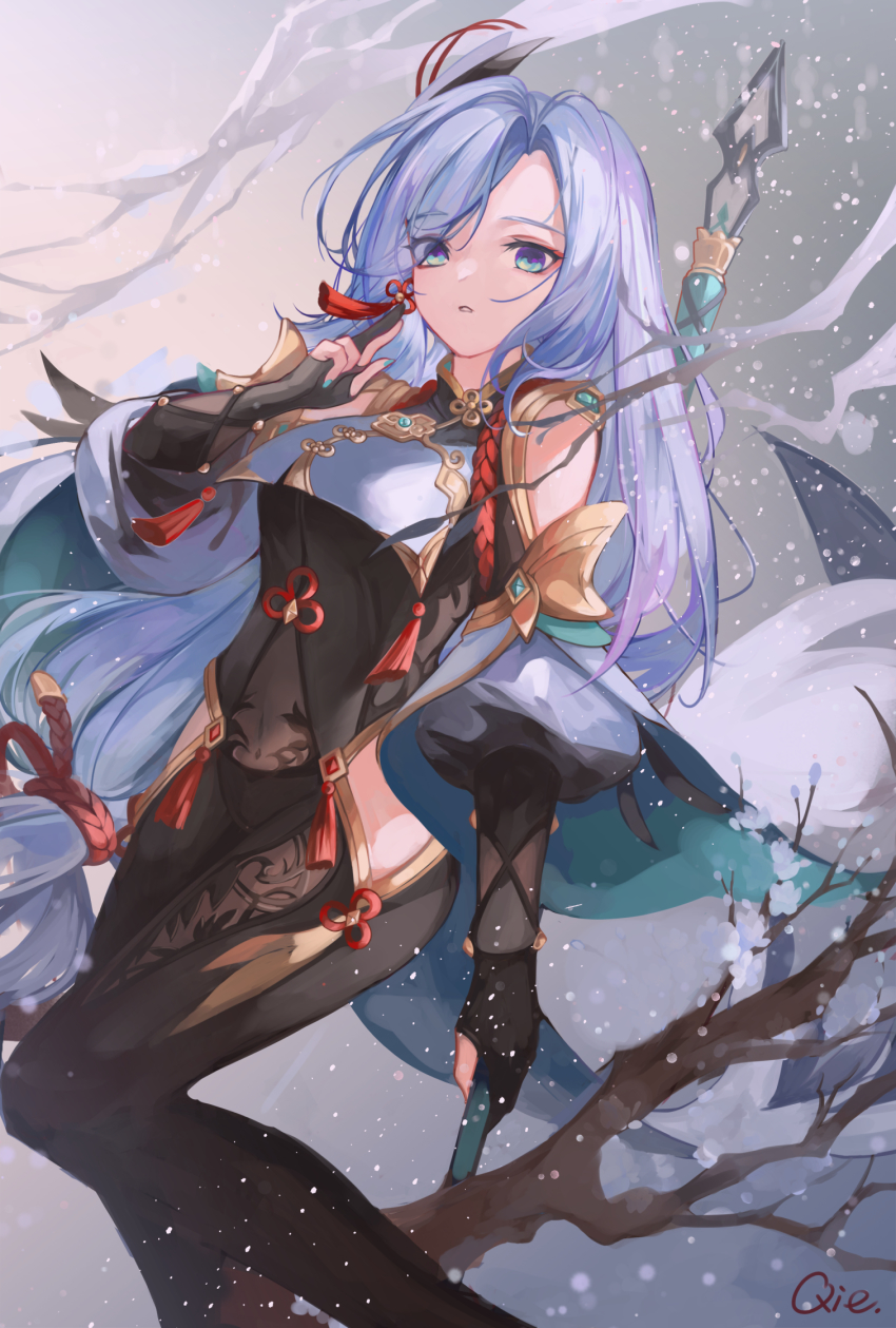 Shenhe (Genshin Impact) Rule 34 Image