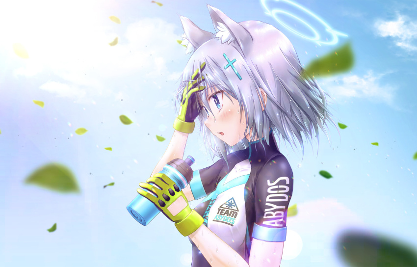 Shiroko (Blue Archive) Rule 34 Image