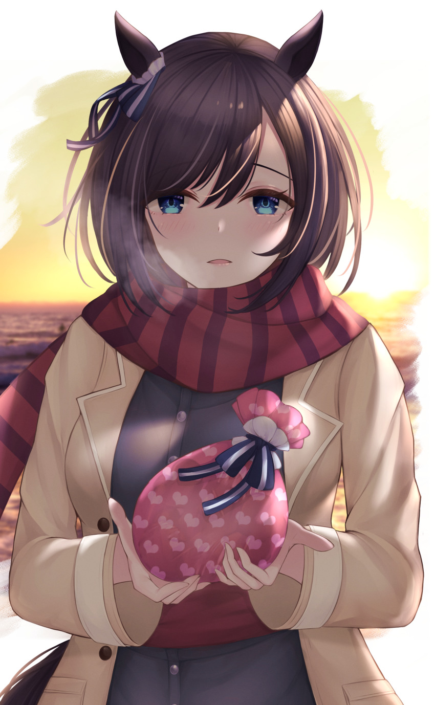 Eishin Flash (Umamusume) Rule 34 Image