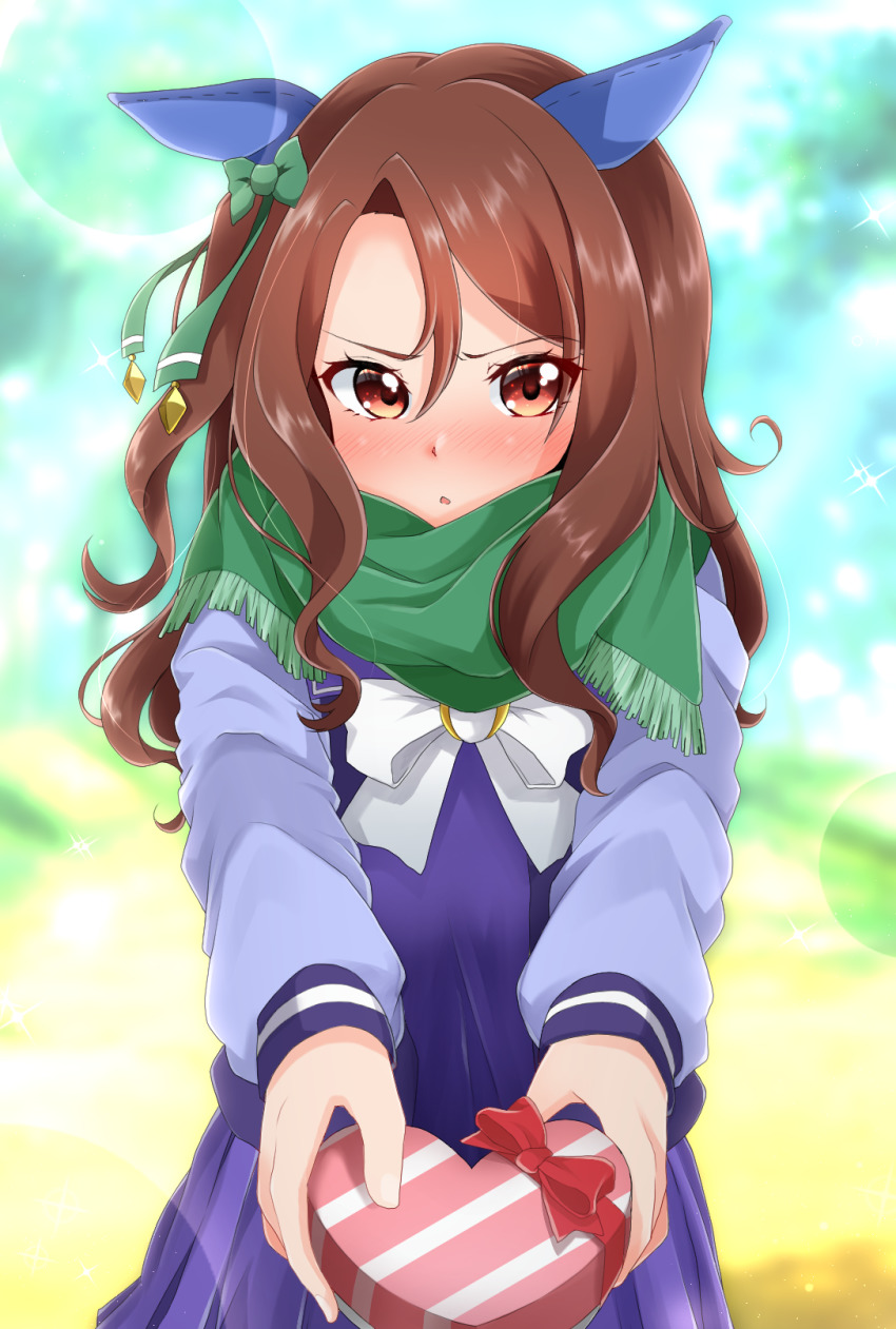 King Halo (Umamusume) Rule 34 Image