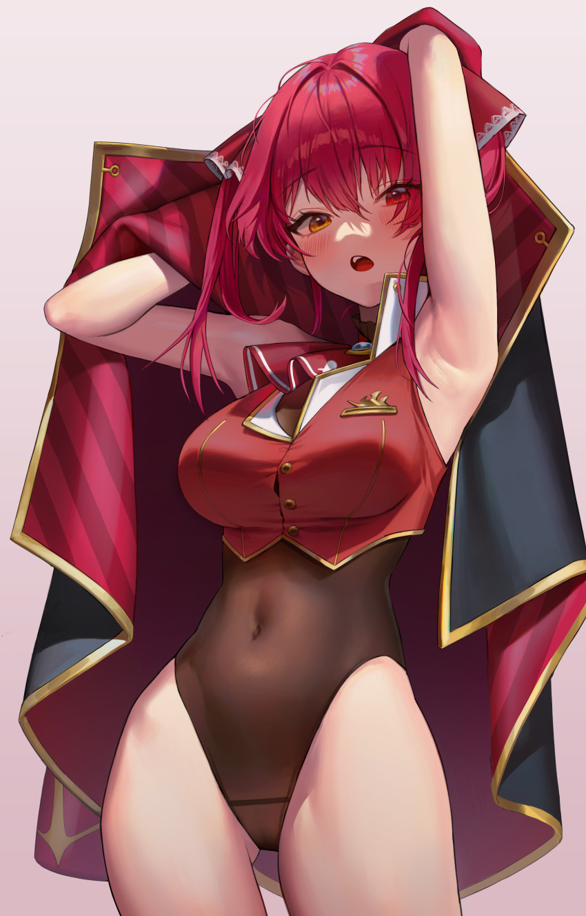 Houshou Marine (Hololive) Rule 34 Image