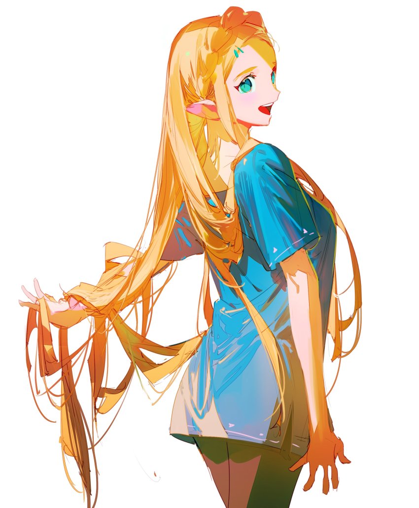 Princess Zelda (Nintendo) Rule 34 Image