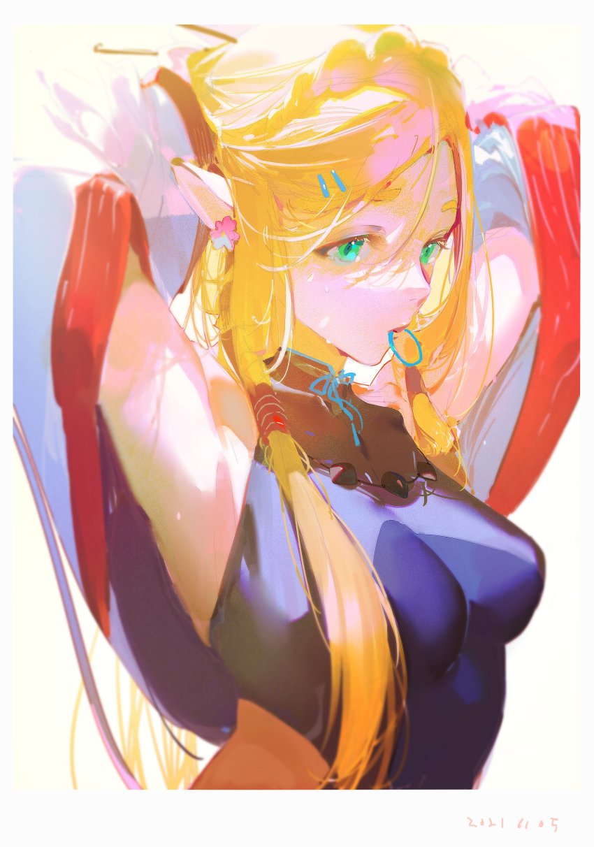 Princess Zelda (Nintendo) Rule 34 Image