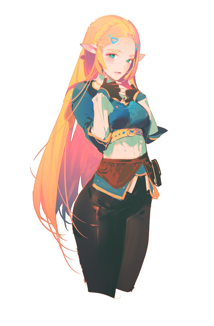 Princess Zelda (Nintendo) Rule 34 Image