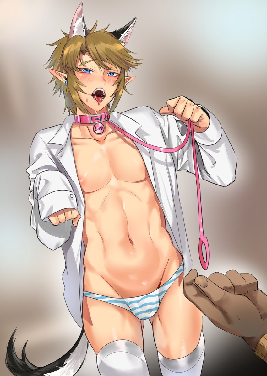 Link (Nintendo) Rule 34 Image