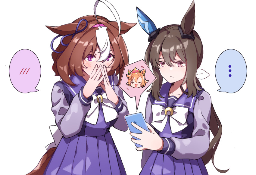 Meisho Doto (Umamusume) Rule 34 Image