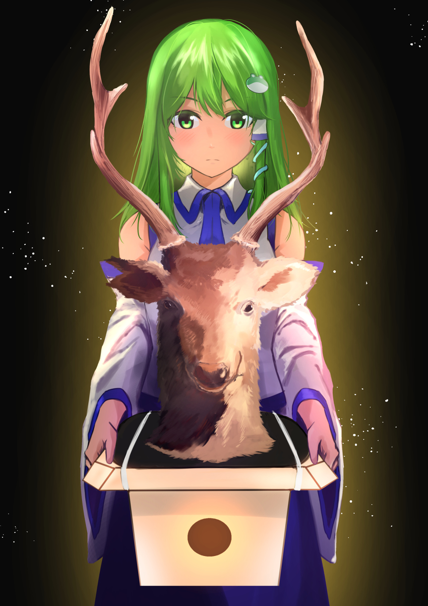Kochiya Sanae (Touhou) Rule 34 Image