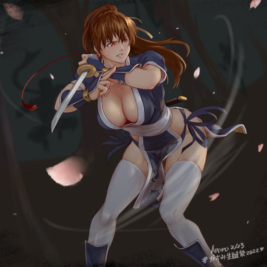 Kasumi (Doa) Rule 34 Image