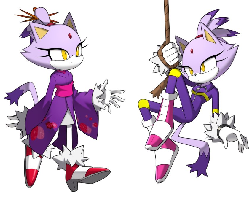 Blaze The Cat (Sonic (Series)) Rule 34 Image