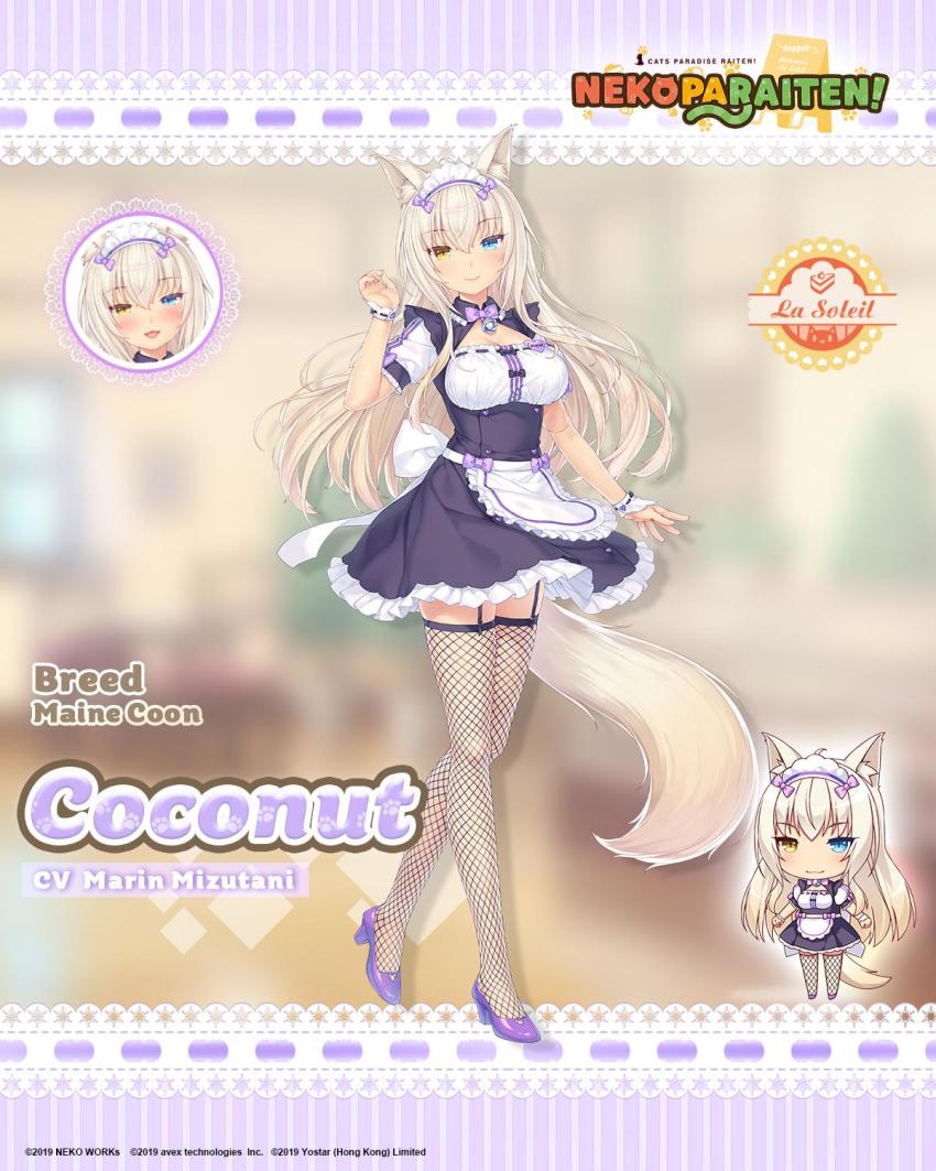Coconut (Nekopara) Rule 34 Image