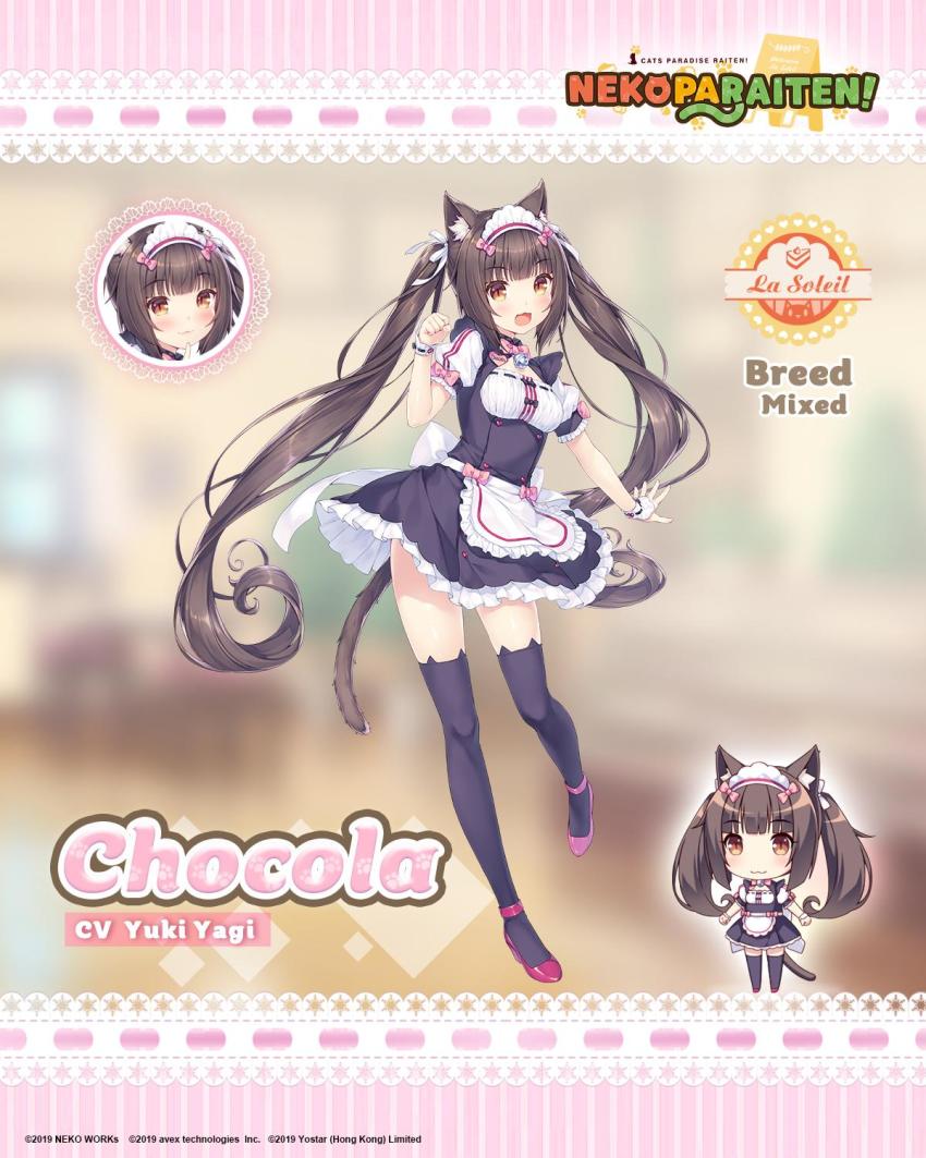 Chocola (Nekopara) Rule 34 Image