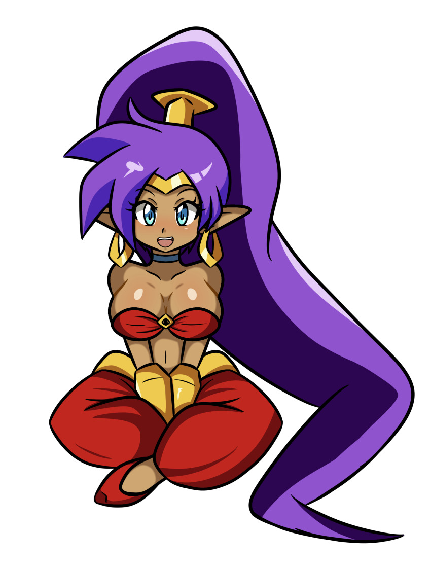 Shantae Rule 34 Image