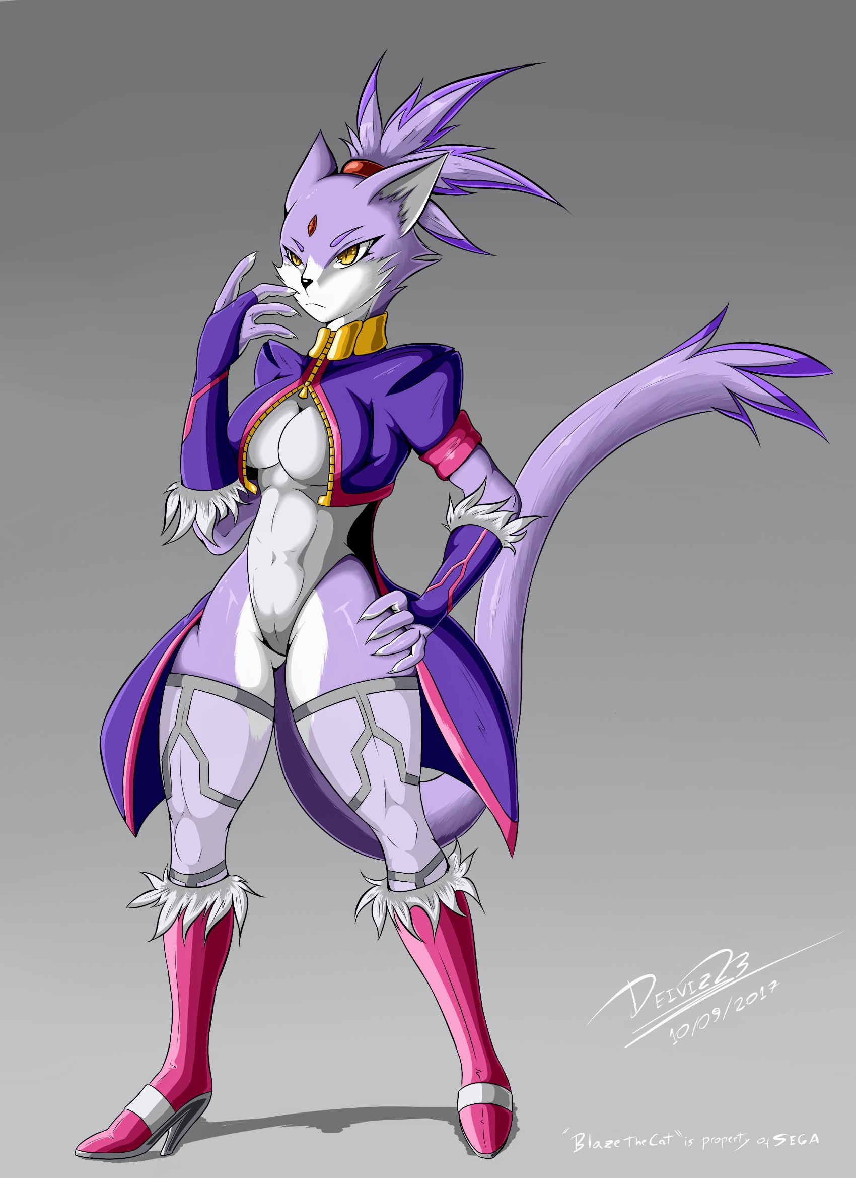 Blaze The Cat (Sega) Rule 34 Image