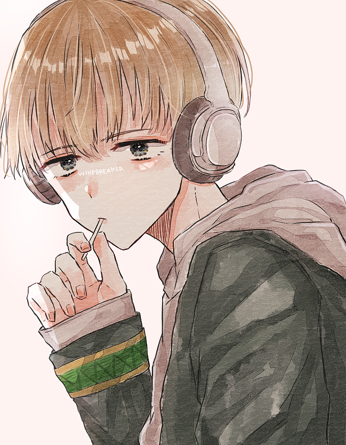 Wind Breaker (Nii Satoru) Rule 34 Image