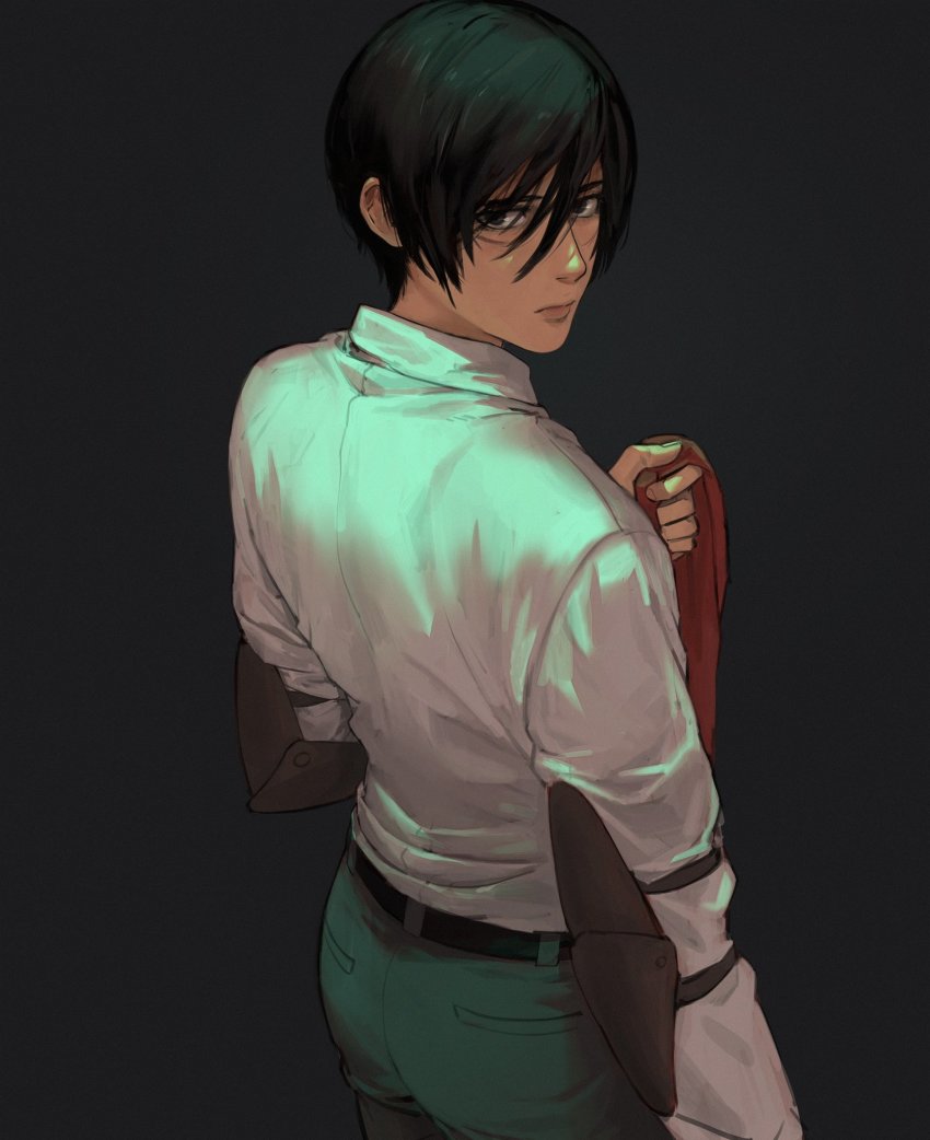 Mikasa Ackerman (Shingeki No Kyojin) Rule 34 Image