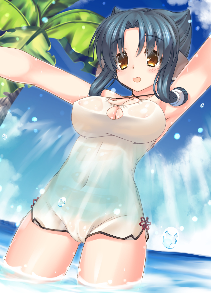 Aquaplus Rule 34 Image