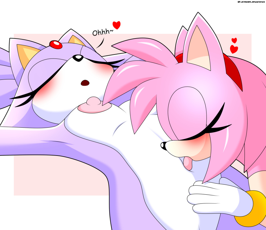 Amy Rose (Sega) Rule 34 Image