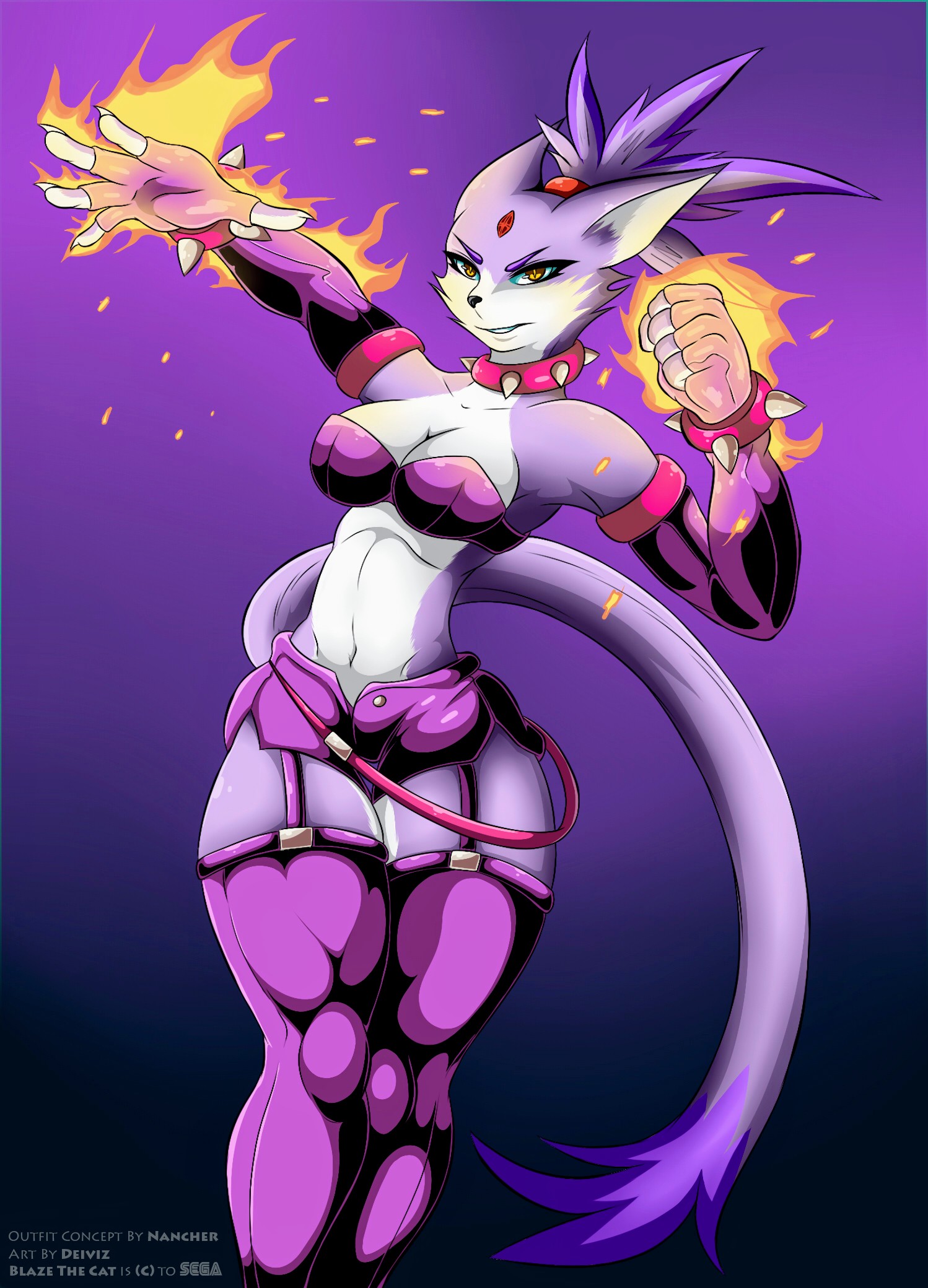 Blaze The Cat (Sega) Rule 34 Image