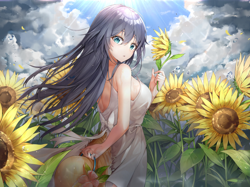 Fu Hua (Honkai (Series)) Rule 34 Image