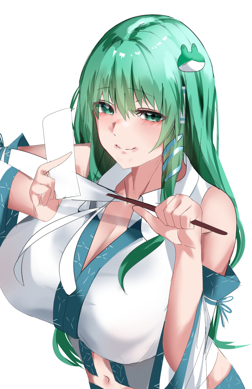 Kochiya Sanae (Touhou) Rule 34 Image