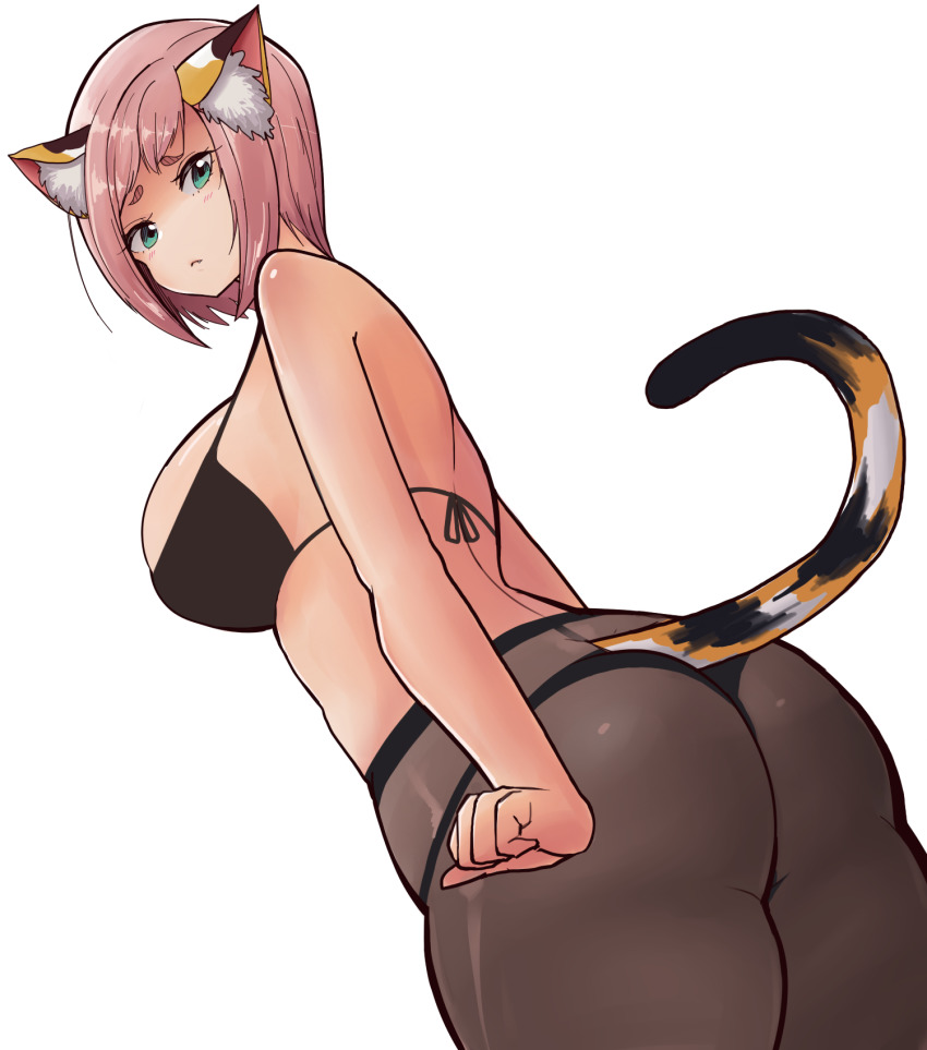 Diona (Genshin Impact) Rule 34 Image