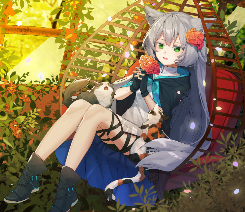 Rosmontis (Arknights) Rule 34 Image