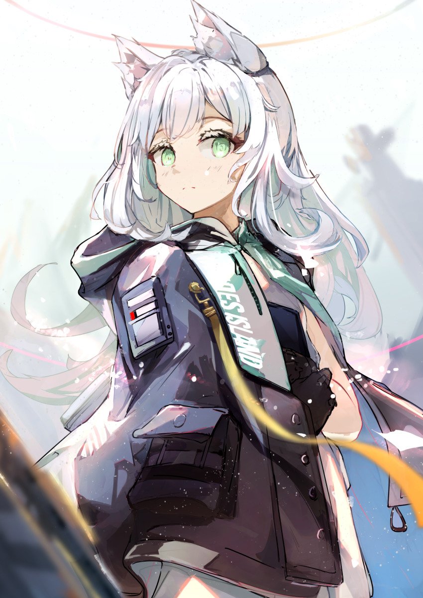 Rosmontis (Arknights) Rule 34 Image