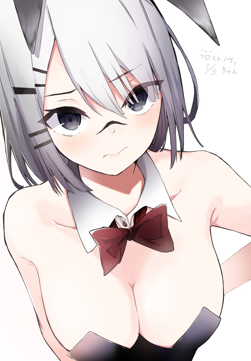 Frostnova (Arknights) Rule 34 Image