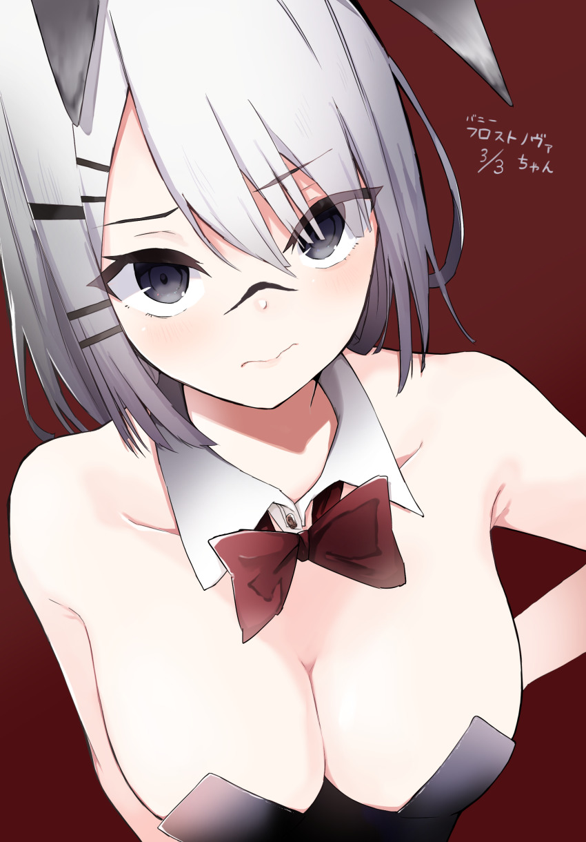 Frostnova (Arknights) Rule 34 Image
