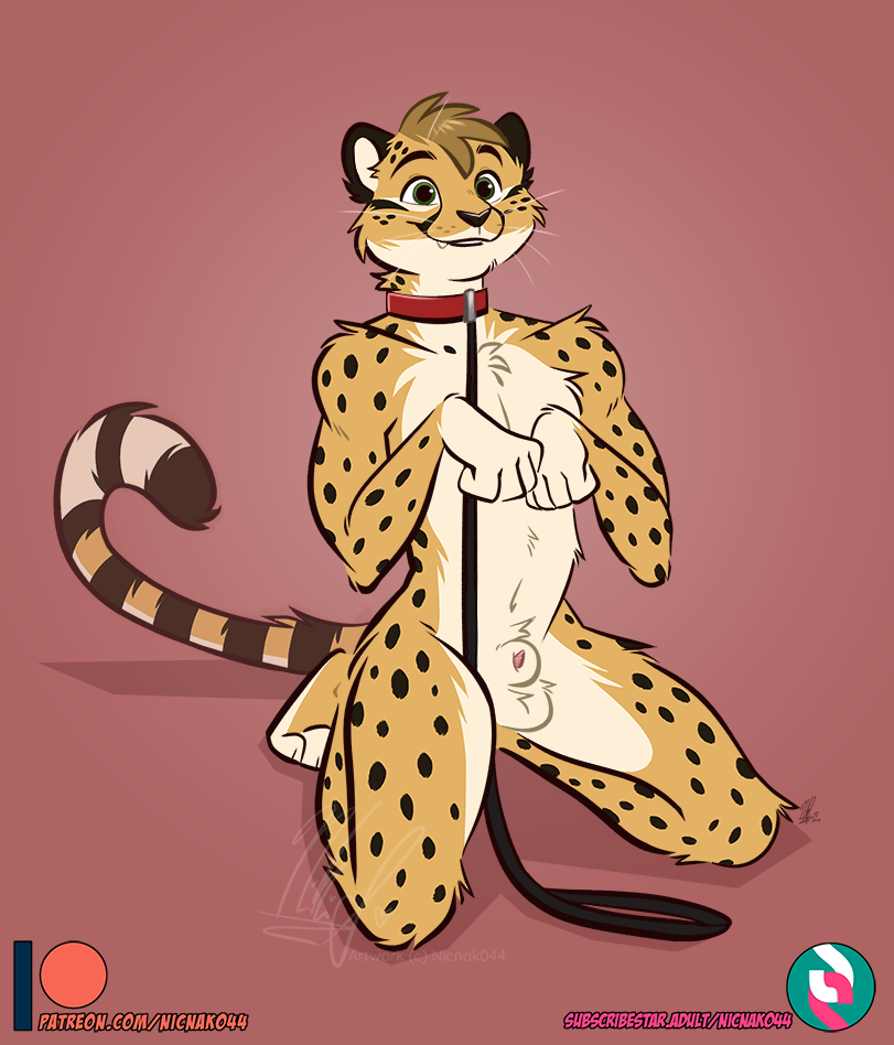Animal Genitalia Rule 34 Image