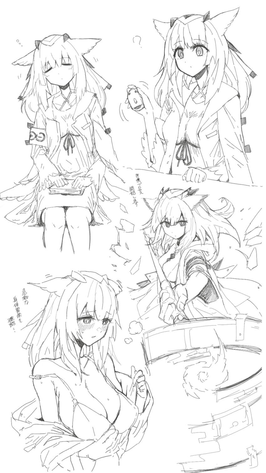 Ptilopsis (Arknights) Rule 34 Image