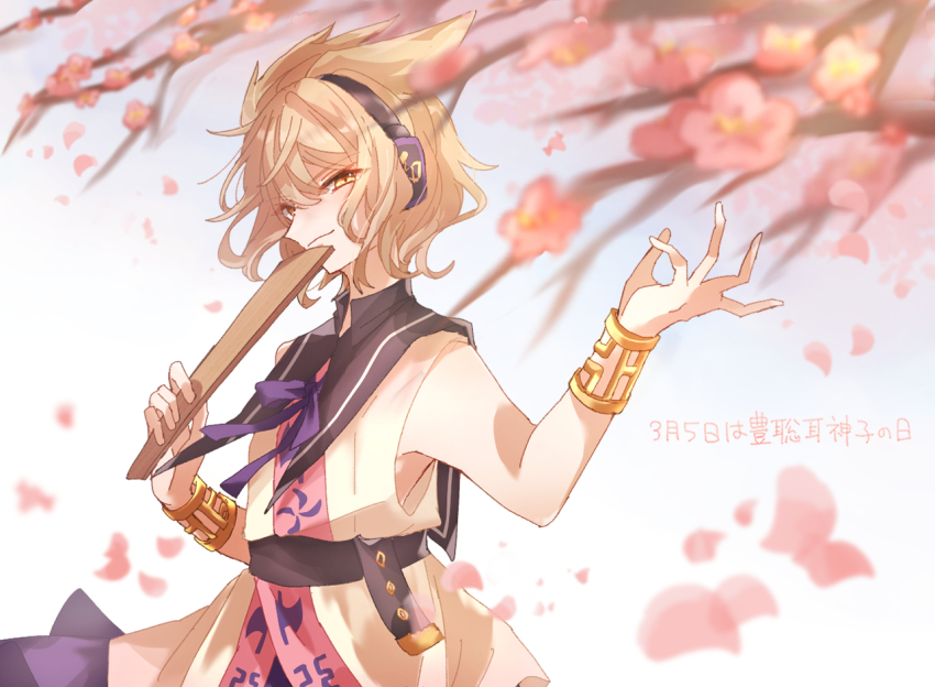 Toyosatomimi No Miko (Touhou) Rule 34 Image