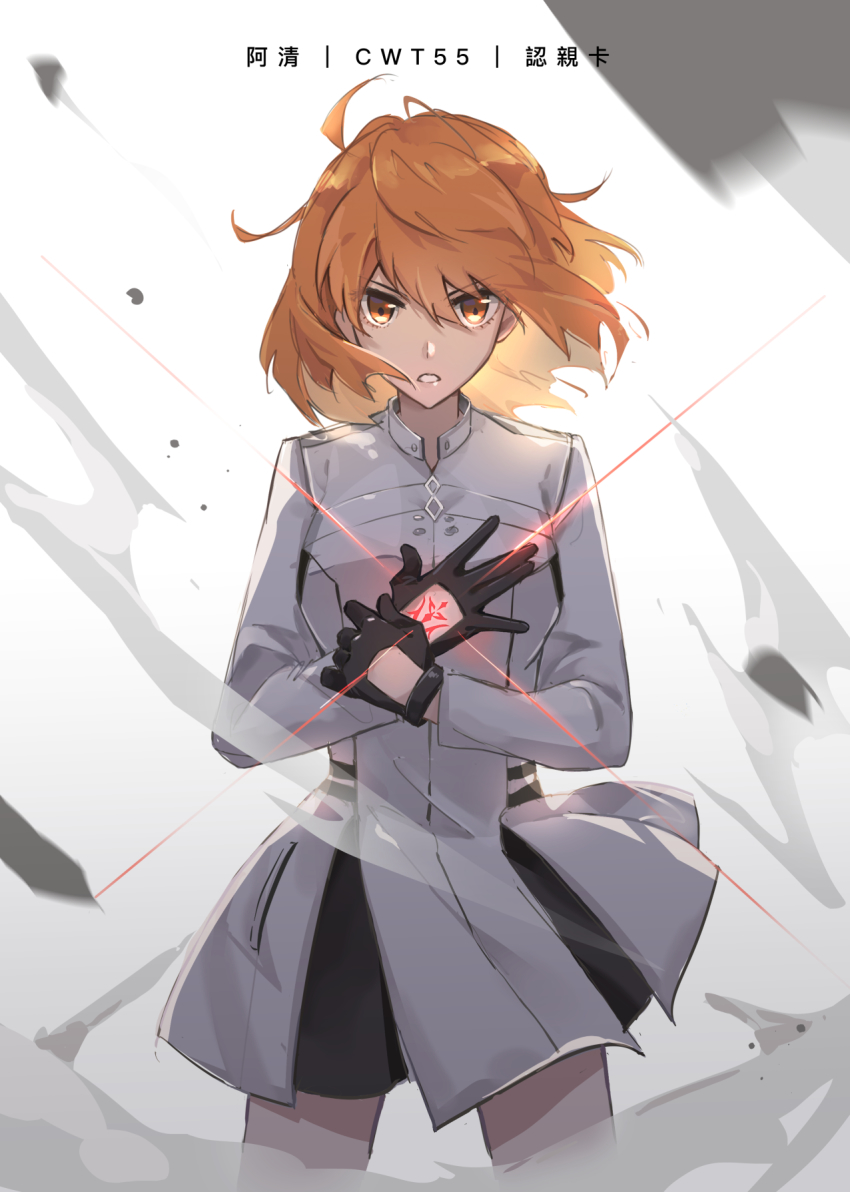 Fujimaru Ritsuka (Female) Rule 34 Image