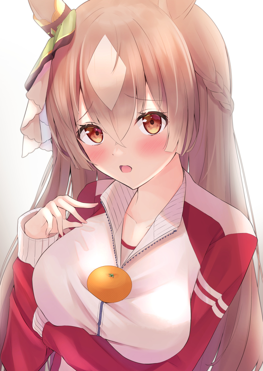 Satono Diamond (Umamusume) Rule 34 Image