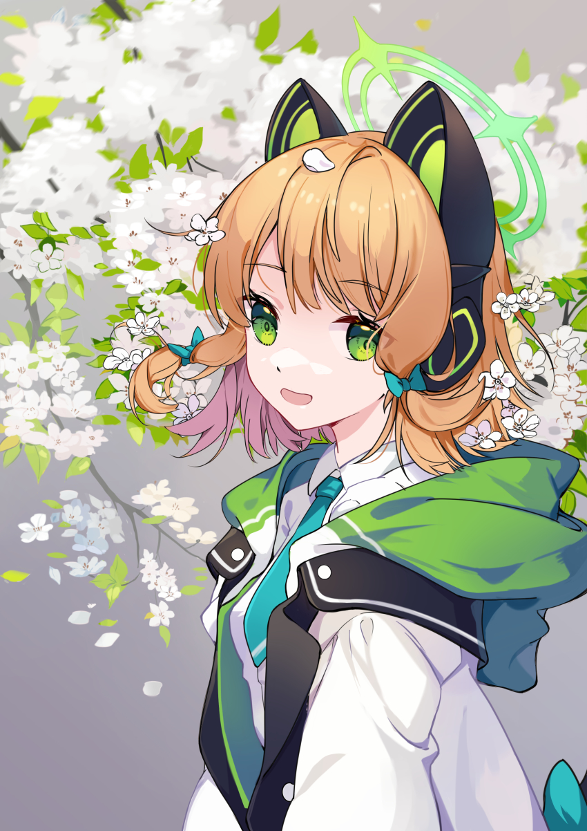 Midori (Blue Archive) Rule 34 Image