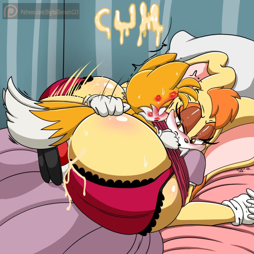 Miles Prower (Sega) Rule 34 Image