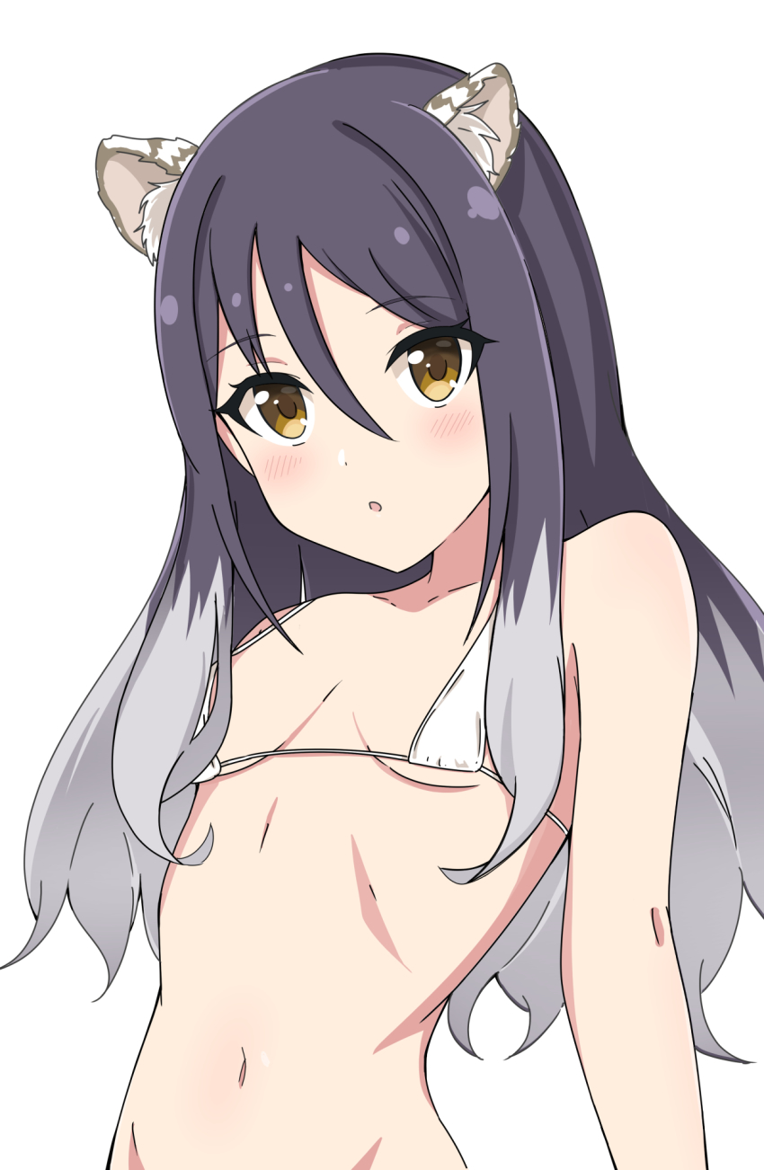 Shiori (Princess Connect!) Rule 34 Image