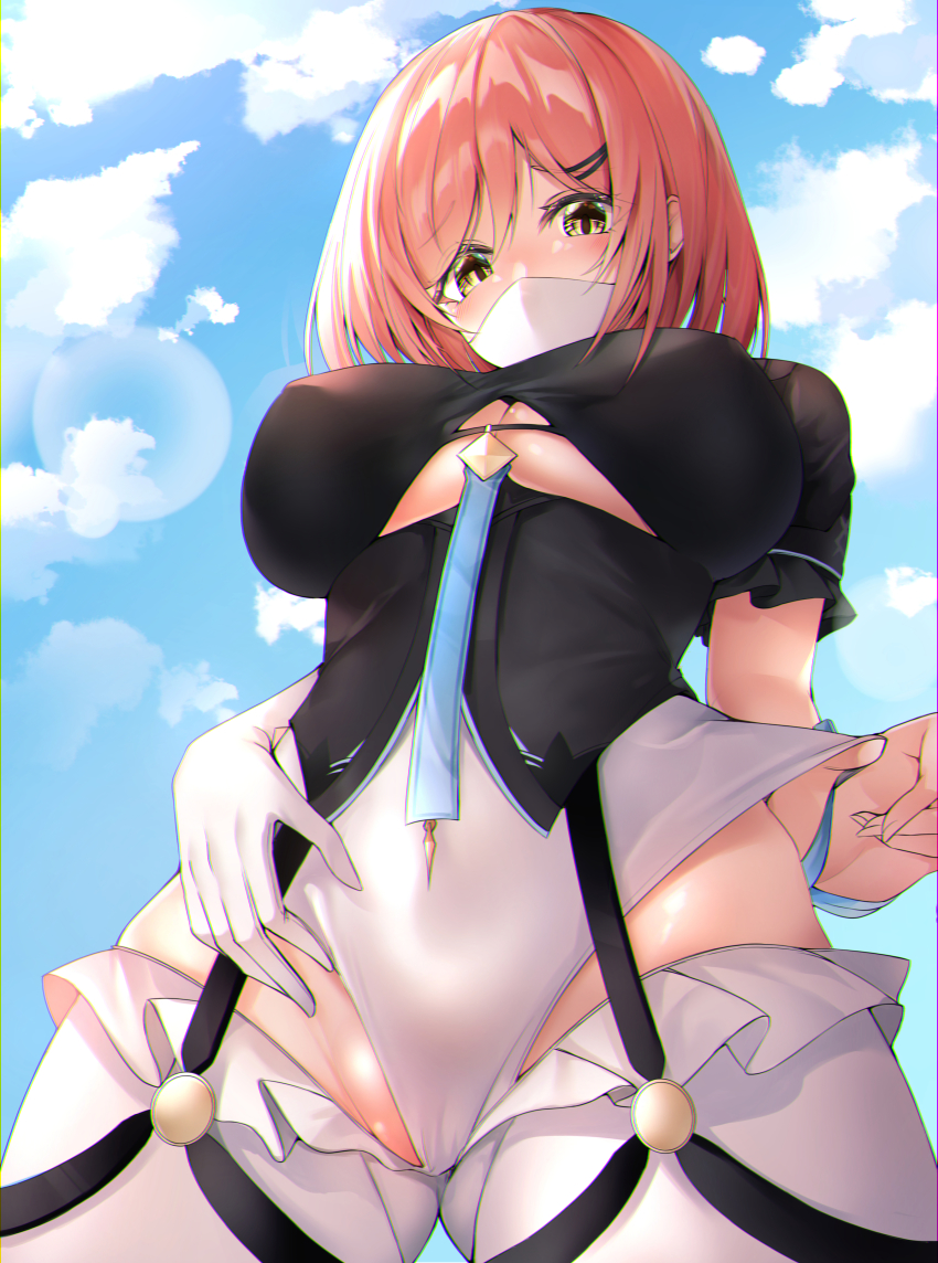 Timido Cute (Honkai (Series)) Rule 34 Image