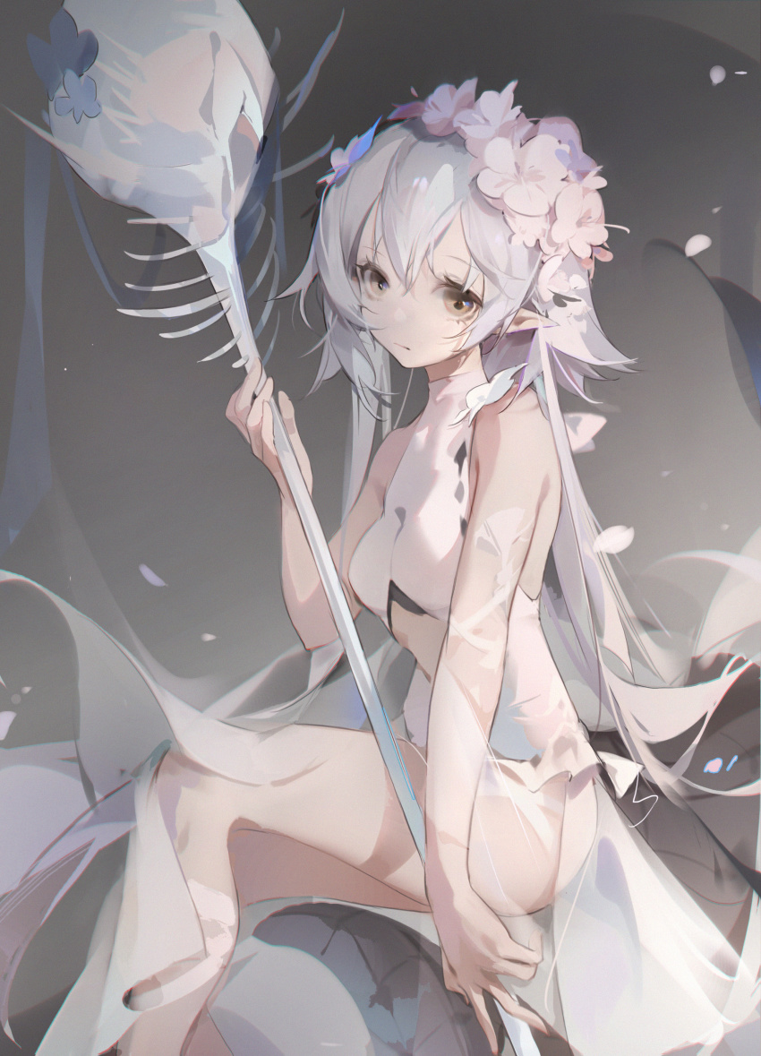 Tomimi (Arknights) Rule 34 Image