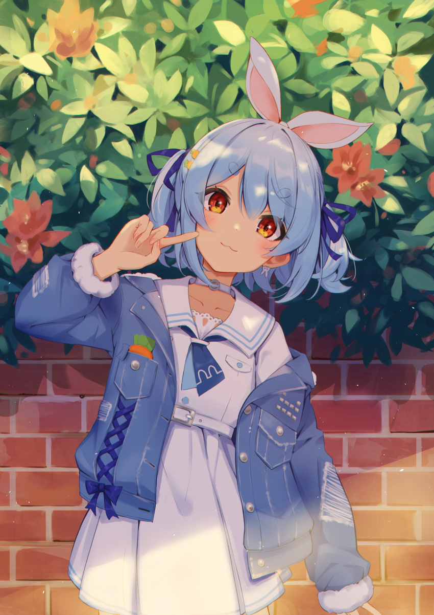 Usada Pekora (Hololive) Rule 34 Image