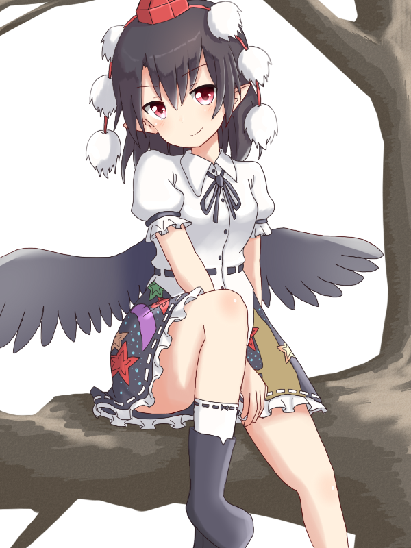 Shameimaru Aya (Hidden Star In Four Seasons) Rule 34 Image