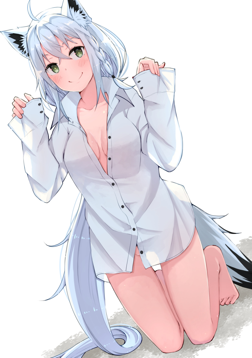 Shirakami Fubuki (Hololive) Rule 34 Image