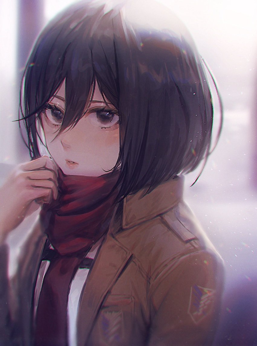 Mikasa Ackerman (Shingeki No Kyojin) Rule 34 Image