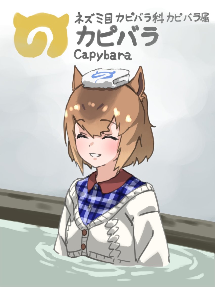 Capybara (Kemono Friends) Rule 34 Image