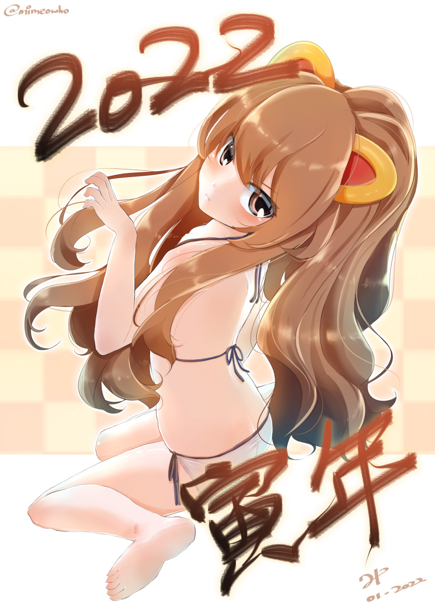 Aisaka Taiga (Chinese Zodiac) Rule 34 Image