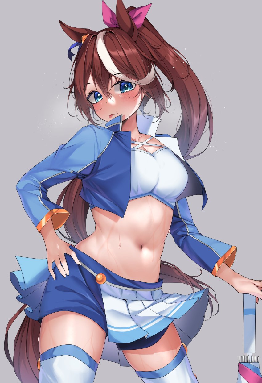 Tokai Teio (Umamusume) Rule 34 Image