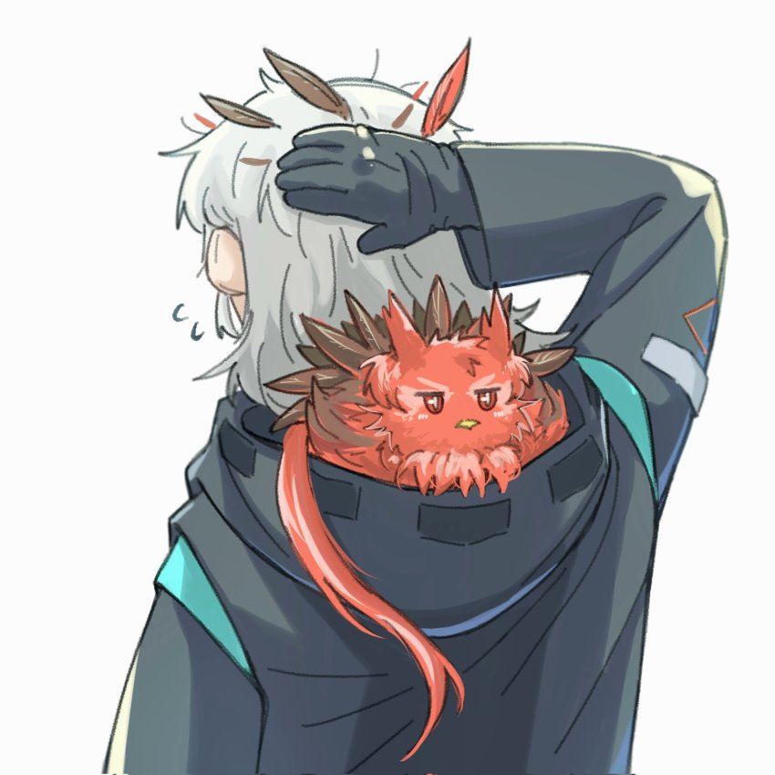 Doctor (Arknights) Rule 34 Image